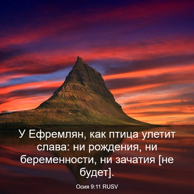 Picture 03 - Осия 9:11 RUSV - У Ефремлян, как птица - Bible Verse Picture