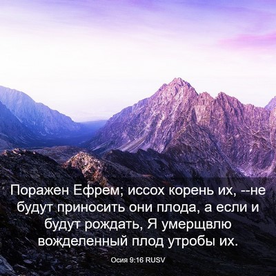 Picture 03 - Осия 9:16 RUSV - Поражен Ефрем; иссох - Bible Verse Picture
