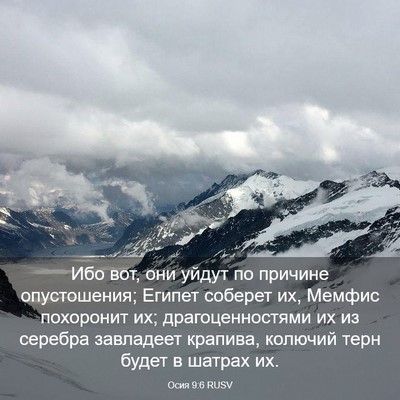 Picture 03 - Осия 9:6 RUSV - Ибо вот, они уйдут по - Bible Verse Picture