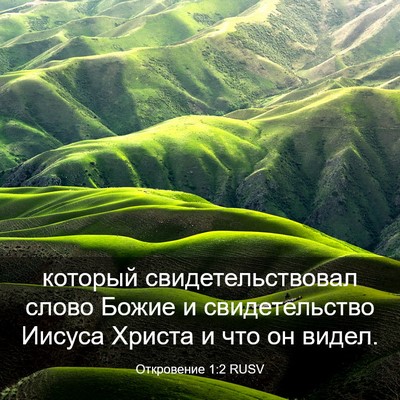 Picture 03 - Откровение 1:2 RUSV - который свидетельствовал - Bible Verse Picture