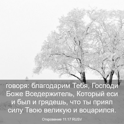 Picture 03 - Откровение 11:17 RUSV - говоря: благодарим Тебя, - Bible Verse Picture