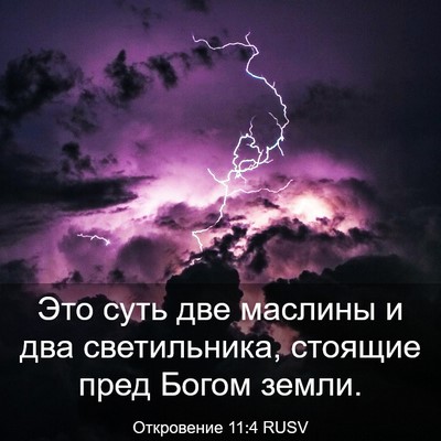 Picture 03 - Откровение 11:4 RUSV - Это суть две маслины и два - Bible Verse Picture