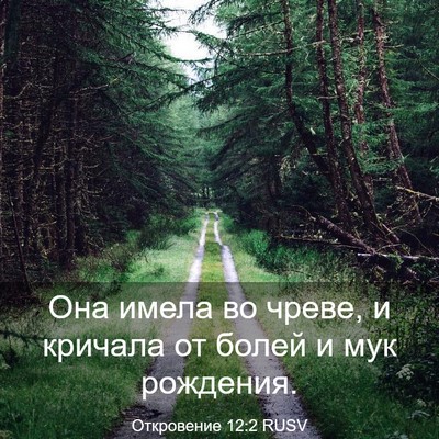 Picture 03 - Откровение 12:2 RUSV - Она имела во чреве, и - Bible Verse Picture
