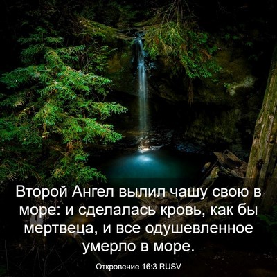 Picture 03 - Откровение 16:3 RUSV - Второй Ангел вылил чашу - Bible Verse Picture