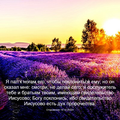 Picture 03 - Откровение 19:10 RUSV - Я пал к ногам его, чтобы - Bible Verse Picture