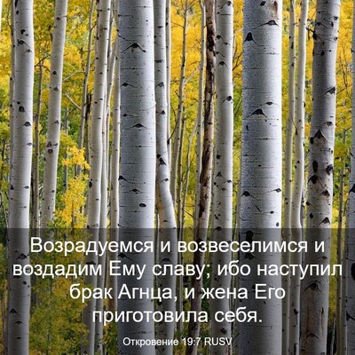 Picture 03 - Откровение 19:7 RUSV - Возрадуемся и - Bible Verse Picture