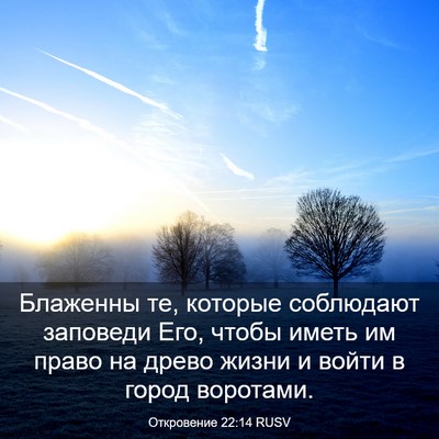 Picture 03 - Откровение 22:14 RUSV - Блаженны те, которые - Bible Verse Picture