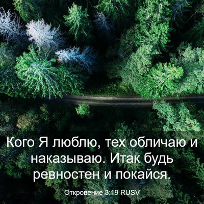 Picture 03 - Откровение 3:19 RUSV - Кого Я люблю, тех обличаю и - Bible Verse Picture