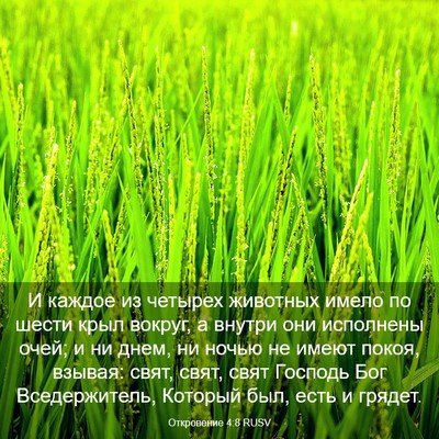 Picture 03 - Откровение 4:8 RUSV - И каждое из четырех - Bible Verse Picture