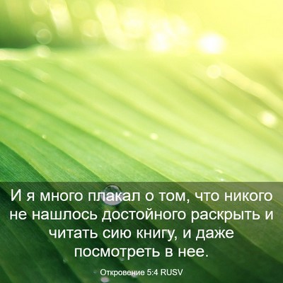 Picture 03 - Откровение 5:4 RUSV - И я много плакал о том, что - Bible Verse Picture