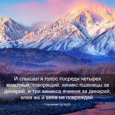 Picture 03 - Откровение 6:6 RUSV - И слышал я голос посреди - Bible Verse Picture