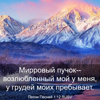 Picture 03 - Песни Песней 1:12 RUSV - Мирровый - Bible Verse Picture