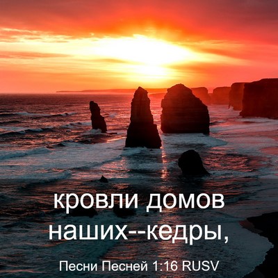 Picture 03 - Песни Песней 1:16 RUSV - кровли домов - Bible Verse Picture