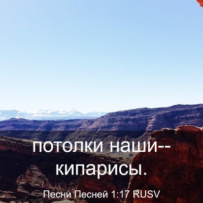Picture 03 - Песни Песней 1:17 RUSV - потолки - Bible Verse Picture
