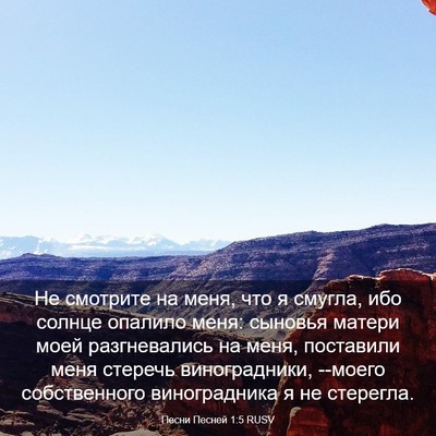 Picture 03 - Песни Песней 1:5 RUSV - Не смотрите на меня, что я - Bible Verse Picture