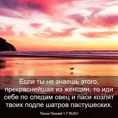 Picture 03 - Песни Песней 1:7 RUSV - Если ты не знаешь этого, - Bible Verse Picture