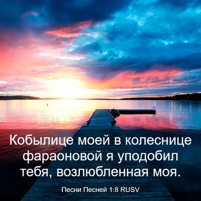 Picture 03 - Песни Песней 1:8 RUSV - Кобылице моей в колеснице - Bible Verse Picture