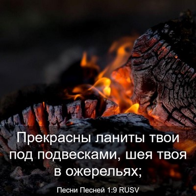 Picture 03 - Песни Песней 1:9 RUSV - Прекрасны ланиты твои под - Bible Verse Picture
