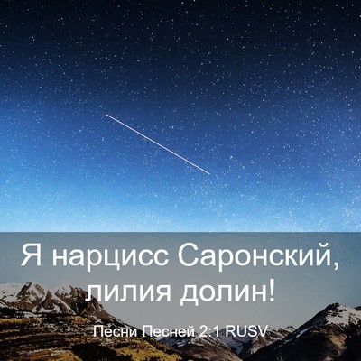 Picture 03 - Песни Песней 2:1 RUSV - Я нарцисс Саронский, лилия - Bible Verse Picture