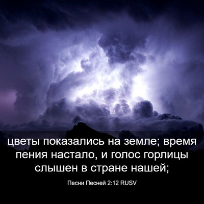 Picture 03 - Песни Песней 2:12 RUSV - цветы показались на земле; - Bible Verse Picture