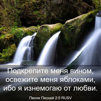 Picture 03 - Песни Песней 2:5 RUSV - Подкрепите меня вином, - Bible Verse Picture