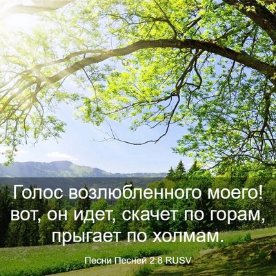 Picture 03 - Песни Песней 2:8 RUSV - Голос возлюбленного моего! - Bible Verse Picture