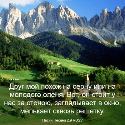 Picture 03 - Песни Песней 2:9 RUSV - Друг мой похож на серну или - Bible Verse Picture