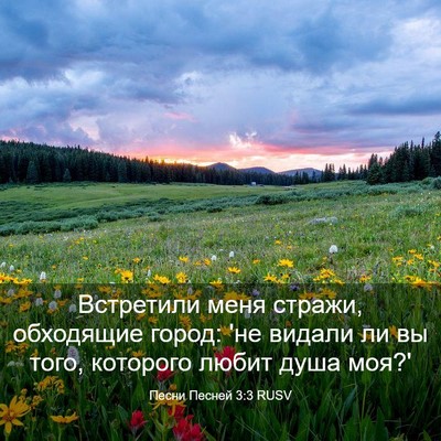 Picture 03 - Песни Песней 3:3 RUSV - Встретили меня стражи, - Bible Verse Picture