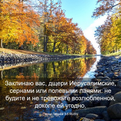 Picture 03 - Песни Песней 3:5 RUSV - Заклинаю вас, дщери - Bible Verse Picture