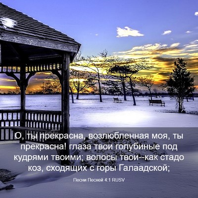 Picture 03 - Песни Песней 4:1 RUSV - О, ты прекрасна, - Bible Verse Picture