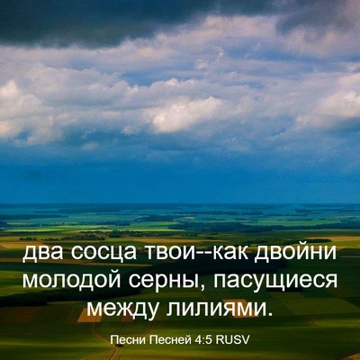 Picture 03 - Песни Песней 4:5 RUSV - два сосца твои--как двойни - Bible Verse Picture