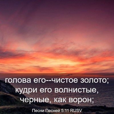 Picture 03 - Песни Песней 5:11 RUSV - голова его--чистое золото; - Bible Verse Picture