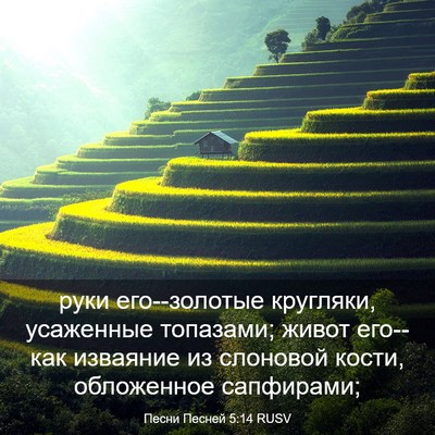 Picture 03 - Песни Песней 5:14 RUSV - руки его--золотые кругляки, - Bible Verse Picture