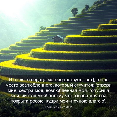 Picture 03 - Песни Песней 5:2 RUSV - Я сплю, а сердце мое - Bible Verse Picture