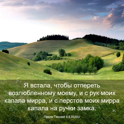 Picture 03 - Песни Песней 5:5 RUSV - Я встала, чтобы отпереть - Bible Verse Picture