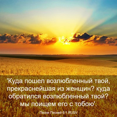 Picture 03 - Песни Песней 6:1 RUSV - 'Куда пошел возлюбленный - Bible Verse Picture