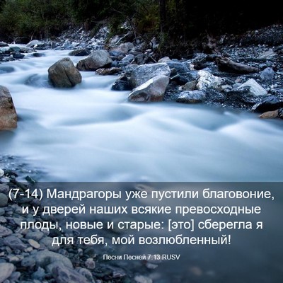 Picture 03 - Песни Песней 7:13 RUSV - (7-14) Мандрагоры уже пустили - Bible Verse Picture