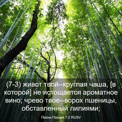 Picture 03 - Песни Песней 7:2 RUSV - (7-3) живот твой--круглая - Bible Verse Picture