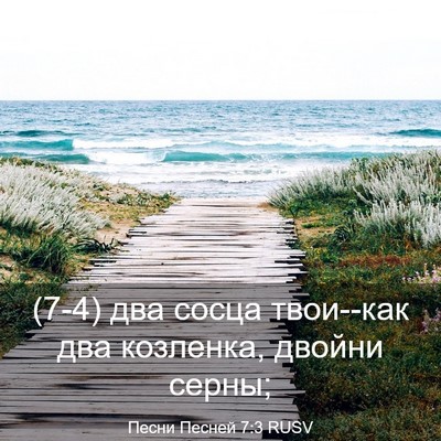 Picture 03 - Песни Песней 7:3 RUSV - (7-4) два сосца твои--как два - Bible Verse Picture