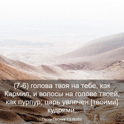 Picture 03 - Песни Песней 7:5 RUSV - (7-6) голова твоя на тебе, как - Bible Verse Picture
