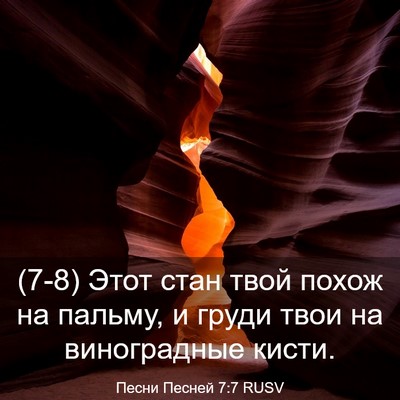 Picture 03 - Песни Песней 7:7 RUSV - (7-8) Этот стан твой похож на - Bible Verse Picture