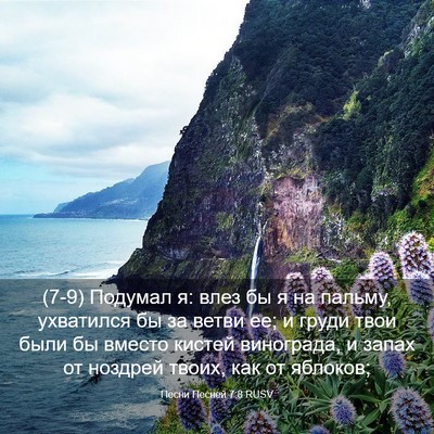 Picture 03 - Песни Песней 7:8 RUSV - (7-9) Подумал я: влез бы я на - Bible Verse Picture