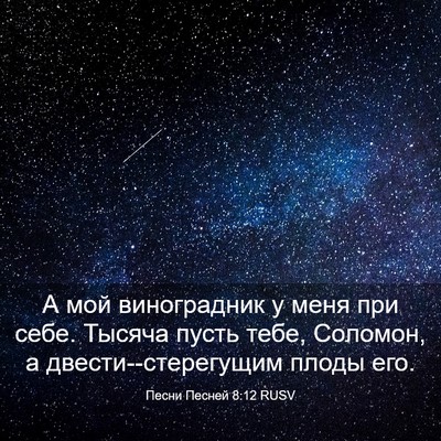 Picture 03 - Песни Песней 8:12 RUSV - А мой виноградник у меня - Bible Verse Picture
