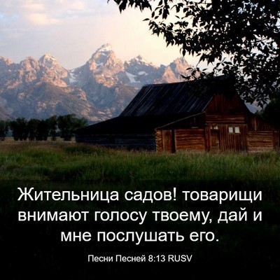 Picture 03 - Песни Песней 8:13 RUSV - Жительница садов! товарищи - Bible Verse Picture