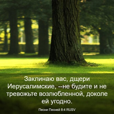 Picture 03 - Песни Песней 8:4 RUSV - Заклинаю вас, дщери - Bible Verse Picture