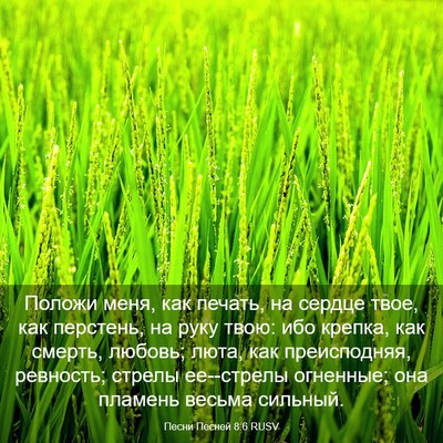 Picture 03 - Песни Песней 8:6 RUSV - Положи меня, как печать, на - Bible Verse Picture