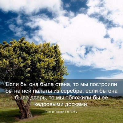 Picture 03 - Песни Песней 8:9 RUSV - Если бы она была стена, то - Bible Verse Picture