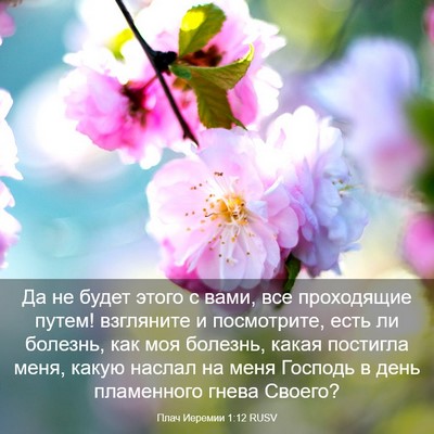 Picture 03 - Плач Иеремии 1:12 RUSV - Да не будет этого с вами, - Bible Verse Picture