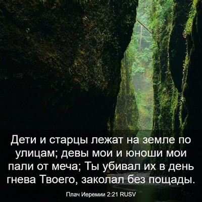 Picture 03 - Плач Иеремии 2:21 RUSV - Дети и старцы лежат на - Bible Verse Picture