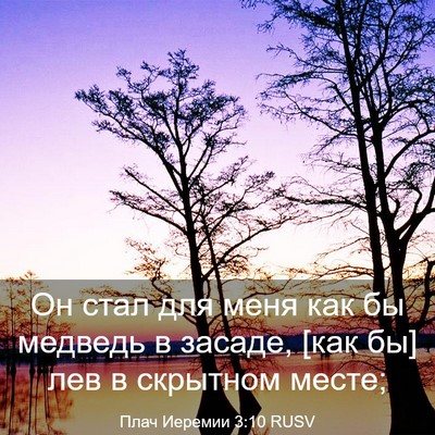 Picture 03 - Плач Иеремии 3:10 RUSV - Он стал для меня как бы - Bible Verse Picture